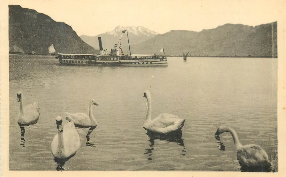 Lago Léman — Cisnes e vapor — Imp. Lévy et Neurdein, Paris - Frente