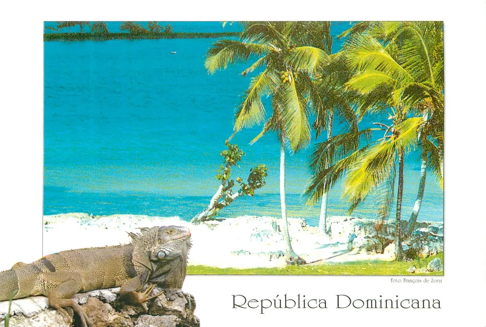 Iguana — Republika Dominikanska — Foto: François de Zorzi - Awers