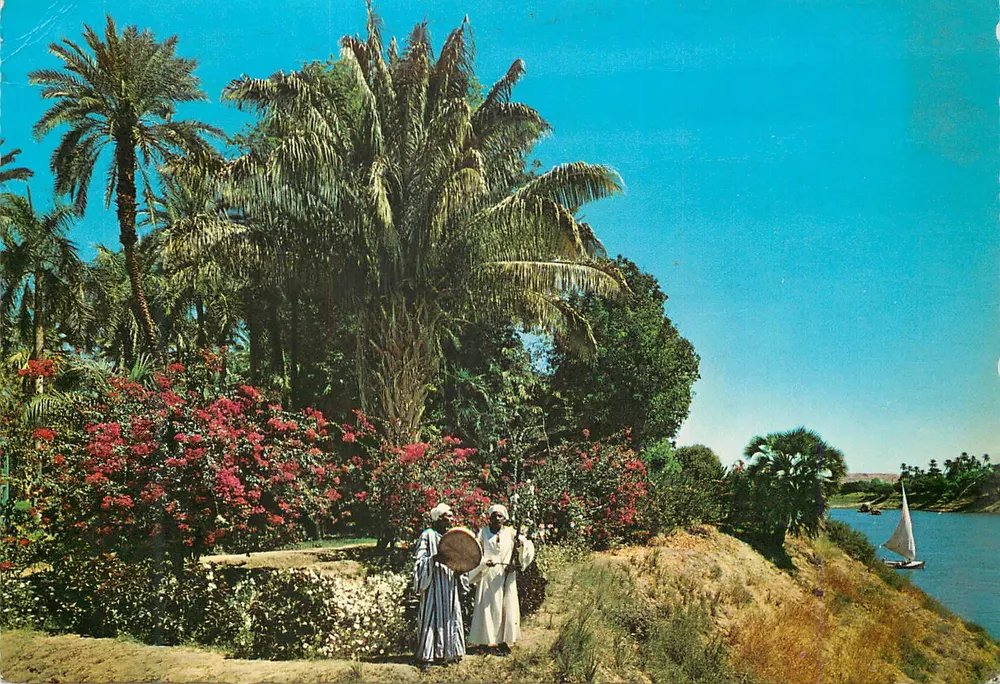 Assuã — Jardim Tropical — Krüger - Frente
