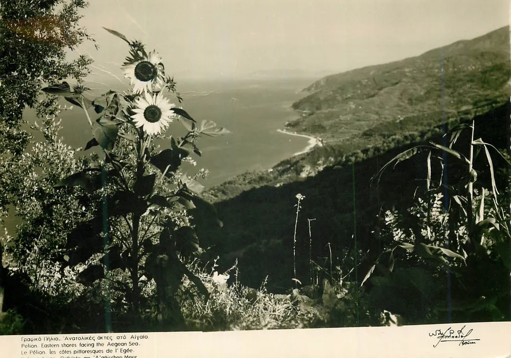 Der Pélion — pittoreske Küste des Ägäischen Meeres — Verlag W. P. D. N. N. (Athen) - Vorderseite