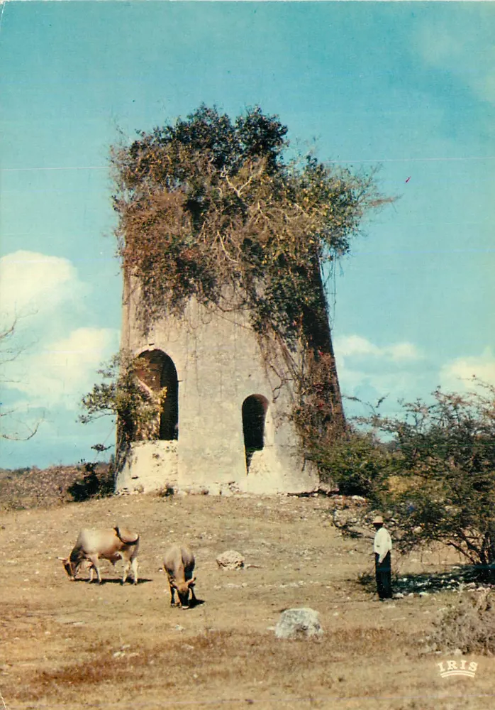 Guinguette — Altes Mühle — Hachette - Antilles, Nr. 5622 - Vorderseite