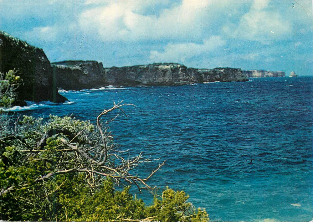 Anse-Bertrand — Die Nordostküste und ihre Klippen (Aussicht von der Pointe du Souffleur) — Natürliche Sammlung - Vorderseite