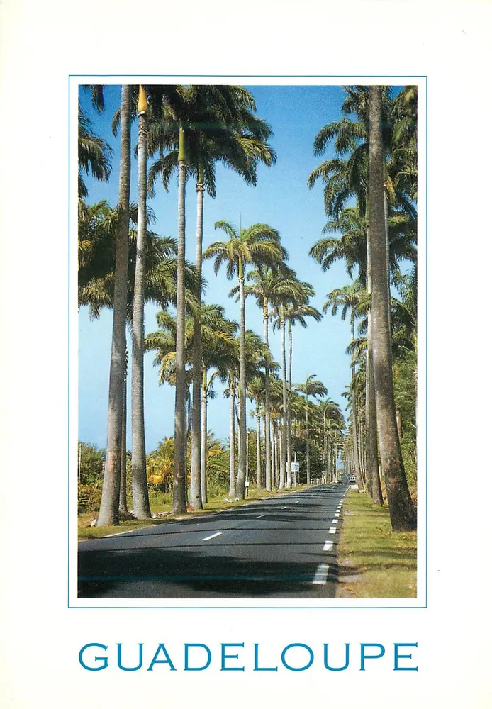 Straße mit Palmen — Guadeloupe — Éditions Exbrayat - Vorderseite