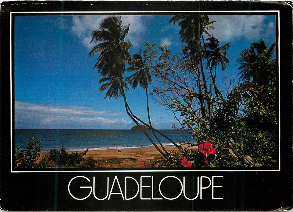Strand von Guadeloupe — Küstenblick mit Palmen — Éditions Pumas - Vorderseite