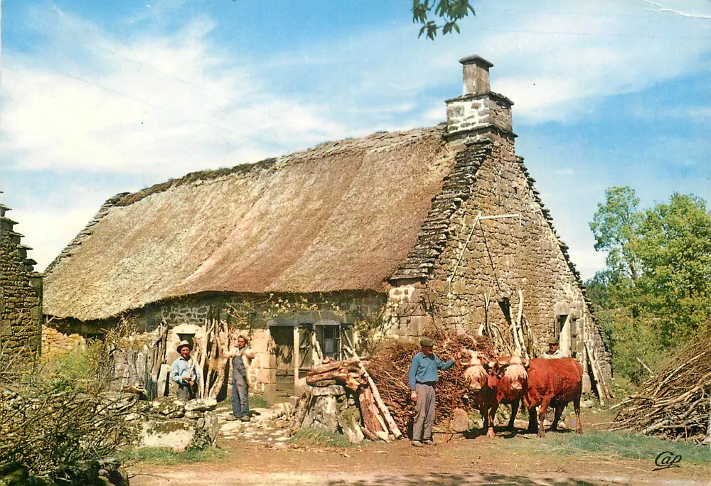 Fazenda com telhado de colmo — Sainte-Léocadie, Vienne — Ektacap Cores Naturais, n° PP 1674 - Frente