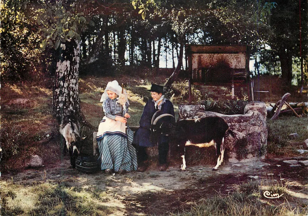 Jeunes Limousins — Paisagem Limousin — Editor Cim - Frente