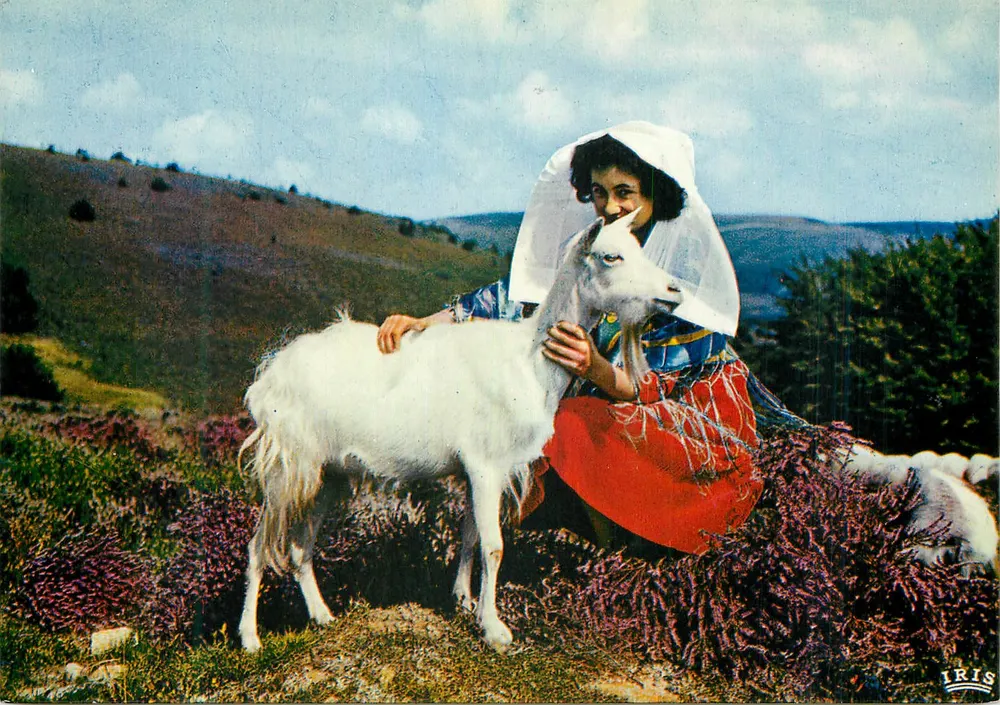 Femme en costume traditionnel avec chèvre — Limousin — Éditions Iris - Recto