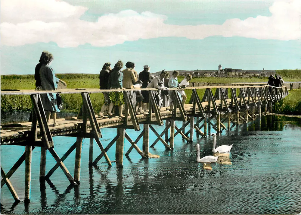 Bad Buchau — Laufsteg zum Federsee — Fotoprint Verlag, Balingen/Württ. - Vorderseite