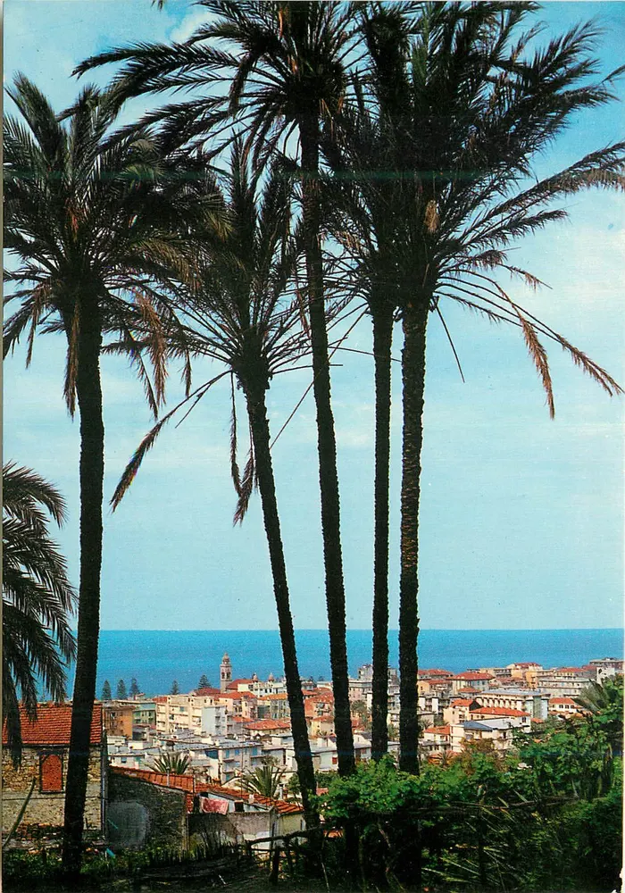 Bordighera — Riviera der Blumen — Panoramablick zwischen den Palmen — Casadile Cartoline, Nr. 109 - Vorderseite