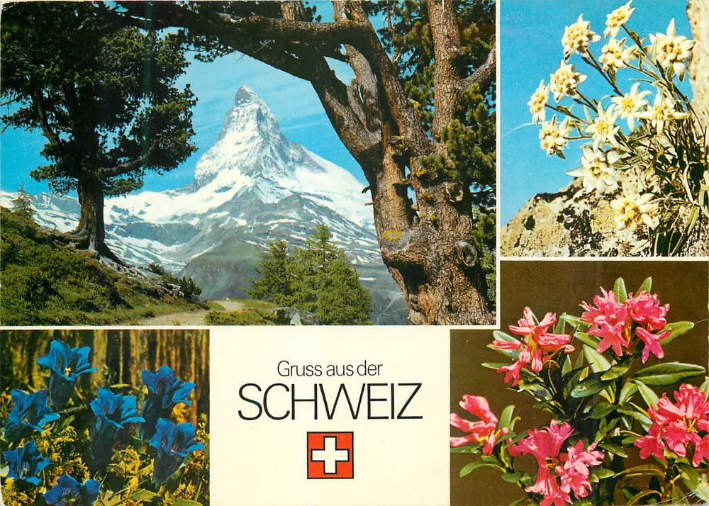 Monte Cervino — Gruss aus der SCHWEIZ — Verlag Kiosk AG, Bern - Frente