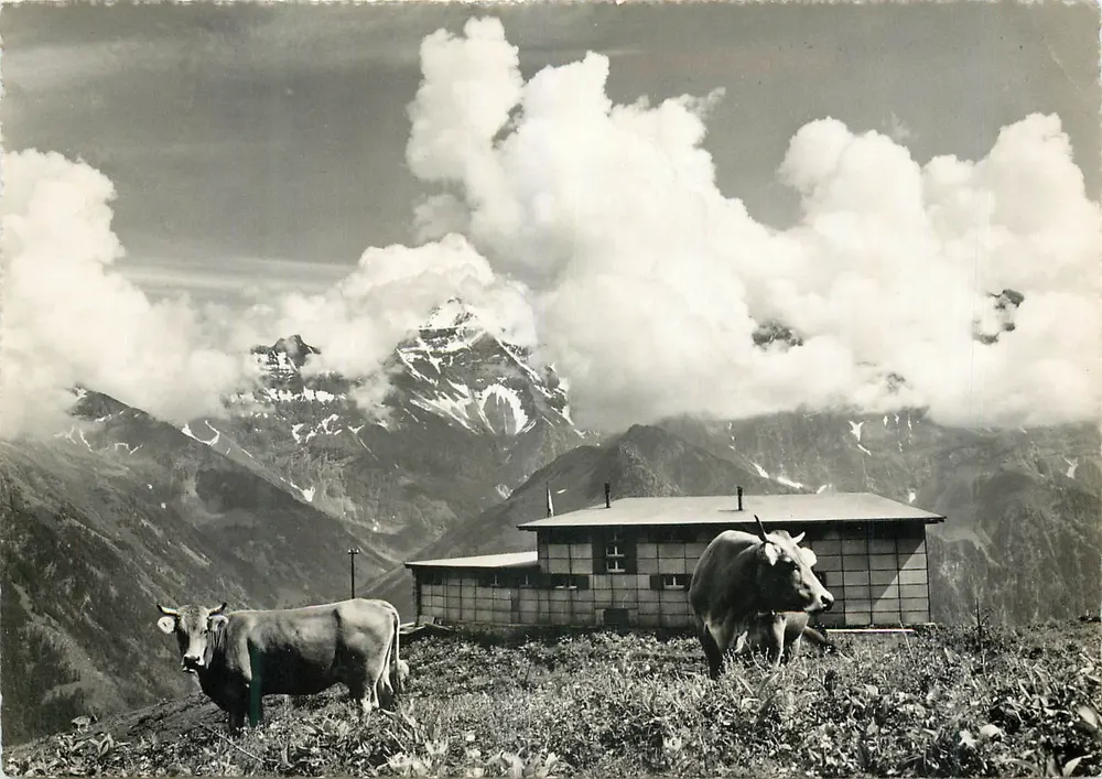 Alpenregion Braunwald — Chalet auf 1800 m — Verlag FOTO Schonwetter GLARUS, Nr. 03054 - Vorderseite