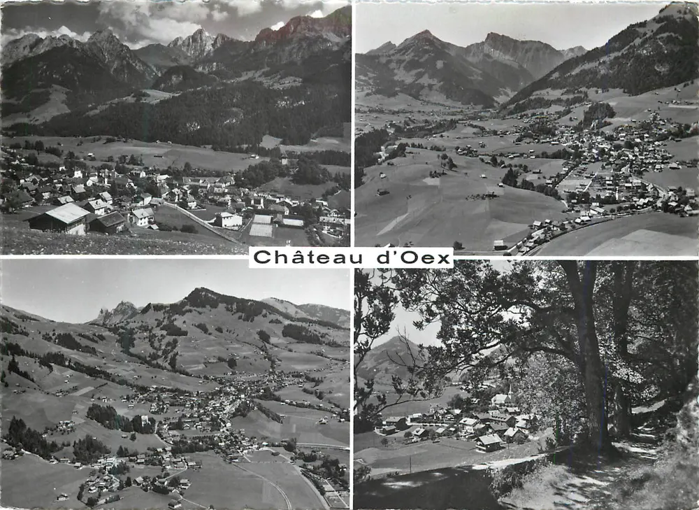 ओएक्स के किला — पैनोरमिक दृश्य — फोटो-एडिशन A. DERIAZ, बॉल्मेज़ - आगे