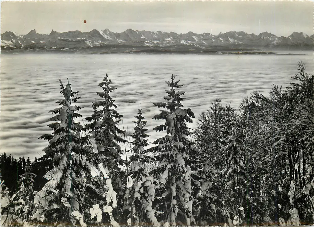 Weissenstein — Blick auf die Alpen — Photoglob-Wehrli AG, Zürich, n° p 07078 - Vorderseite