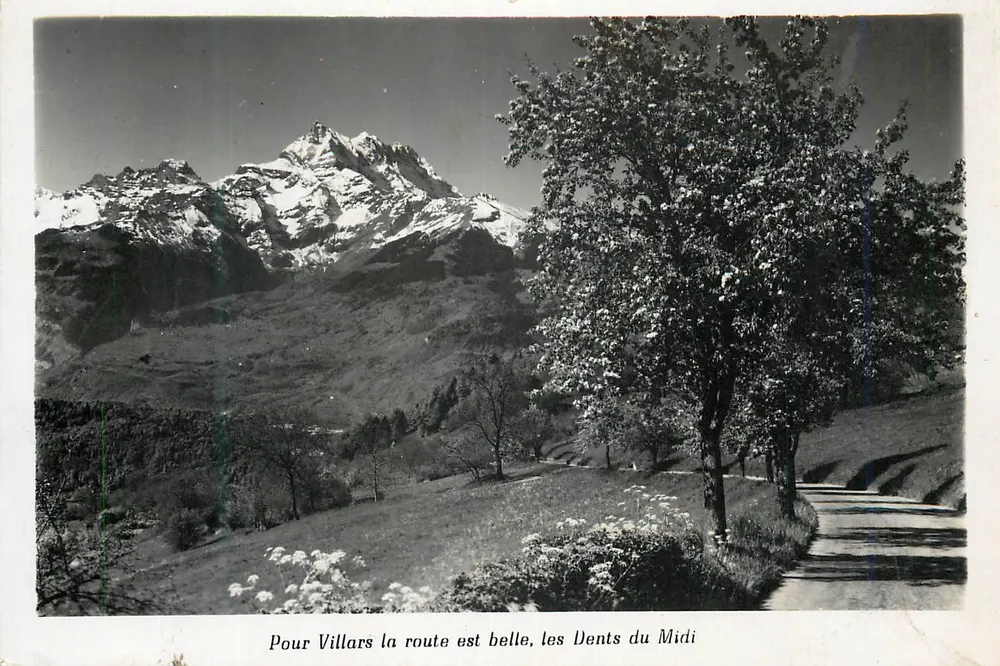 Die Dents du Midi — Panoramablick — Photo Munz, Villars - Vorderseite