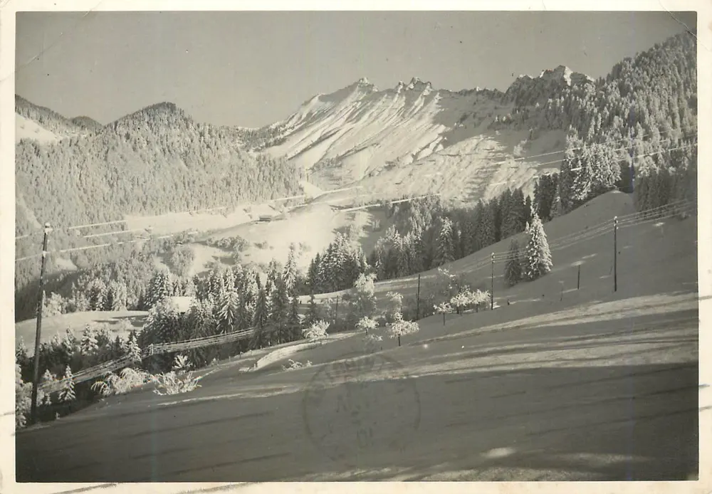Paysage hivernal enneigé — montagnes et forêts — éditeur DAFEL - Frente