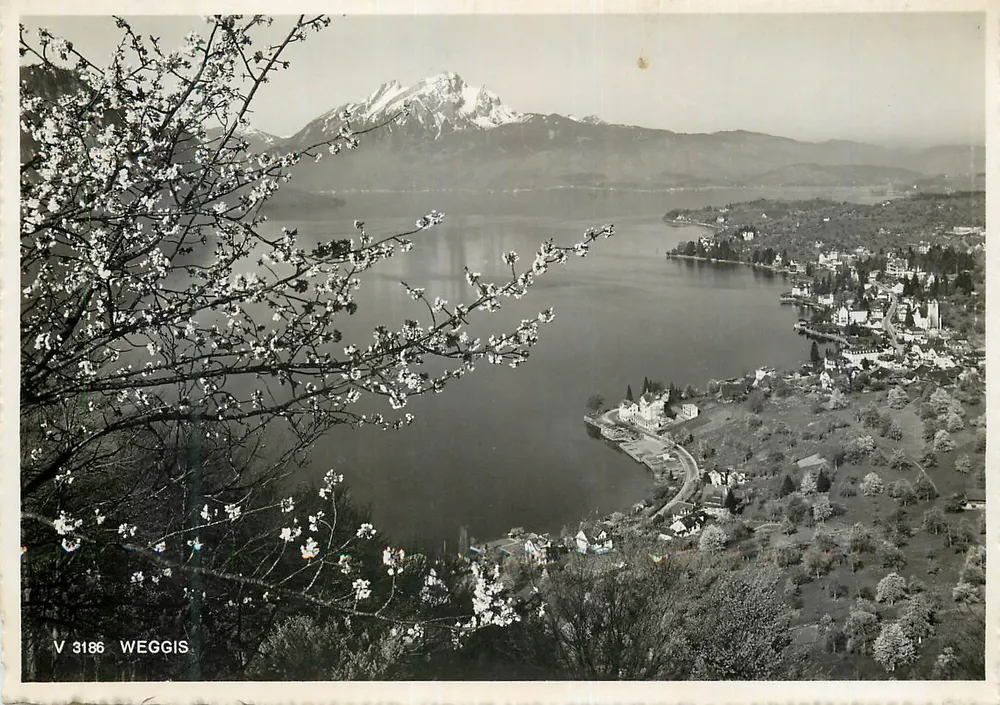 Weggis — vista do lago com montanhas nevadas — V 3186 - Frente
