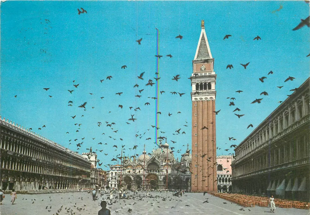Piazza San Marco — Voli di piccioni — Ediz. ARDO - Venezia - Recto