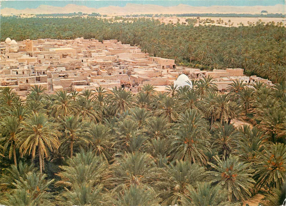 Tozeur (Tunísia) — Vista geral — Sociedade CARTHAGE - Frente