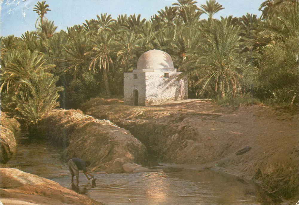 Tozeur — Marabout in der Palmenplantage (Sidi Laguili) — Éditions Tanit, Tunis - Vorderseite
