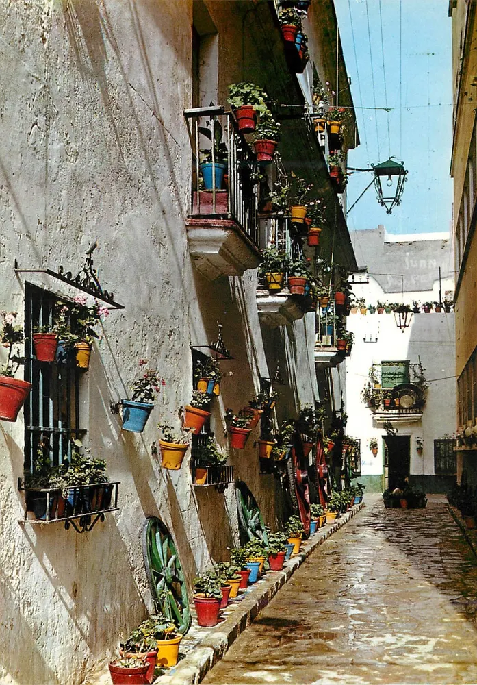Callejón de los duros antiguos — Cádiz — Edizioni Sicilia, n°37 - Recto