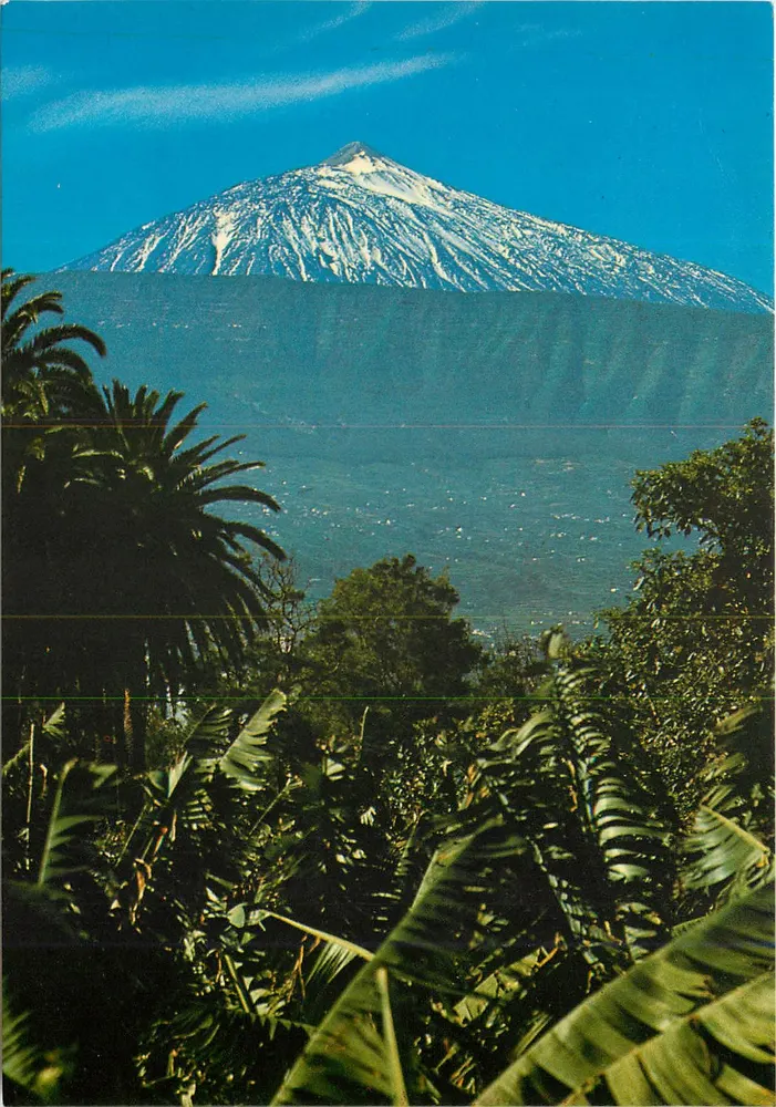 Schneeverhüllter Teide — Plataneras und Bananenbäume — Turdimpex - Vorderseite