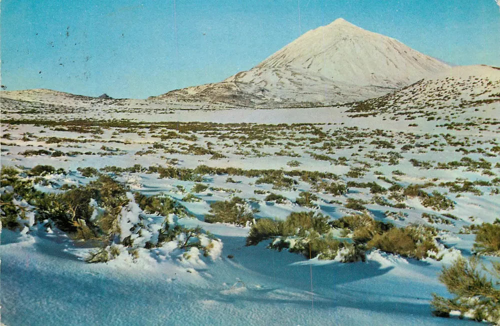 Le Teide depuis les plateaux de Maja — Tenerife (Canaries) — Série II N° 7358 — Éditeur Víctor González - Recto