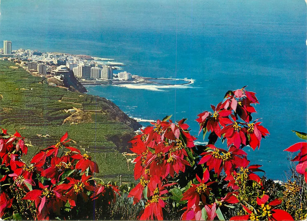Costa del Norte und Puerto de la Cruz — Tenerife — Ahrtal-Verlag, Nr. TEN 5004 - Vorderseite