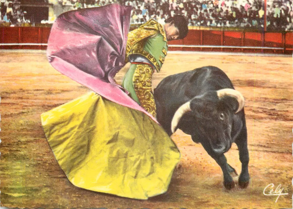 टोरेडोर और बैल — कोरिडा की घटना — सेली - आगे