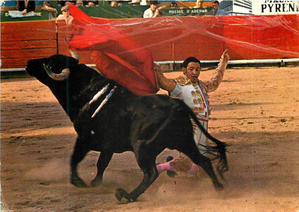 Toreador e touro — Pase de rodillas — Savir, Barcelone - Frente