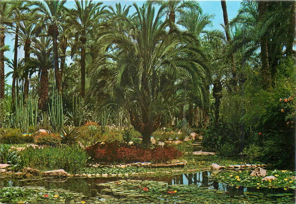 Garten der Rocalla — Huerto del Cura, Elche — Verlag: MASSIN RENE, Châtellerault - Vorderseite