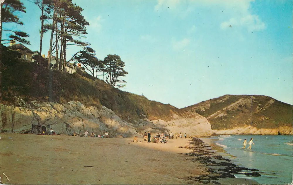 Caswell Bay, Mumbles — praia animada com falésias e pinheiros — editor PT27670 - Frente