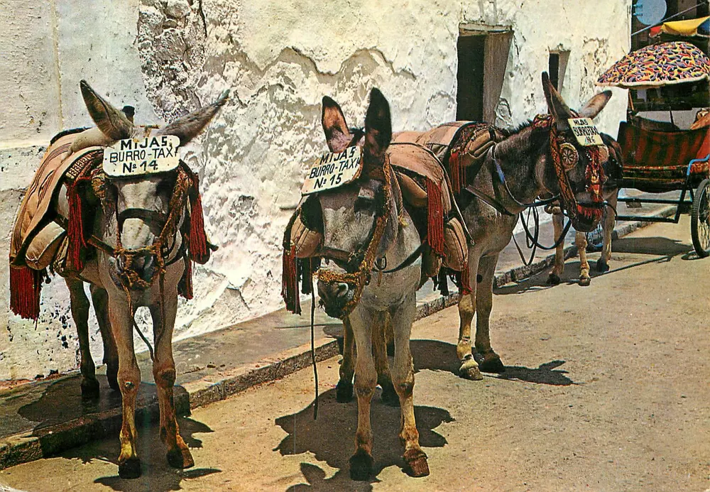 Mijas (Costa del Sol) — Aparcamiento de burros-taxi — Garcia Garrabella & Cia. - Anverso
