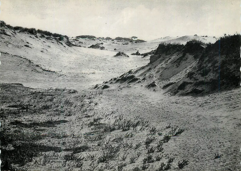 Dunas de Oostduinkerke — paisagem árida e selvagem — Ern. Thill, Bruxelas, n° 33 - Frente