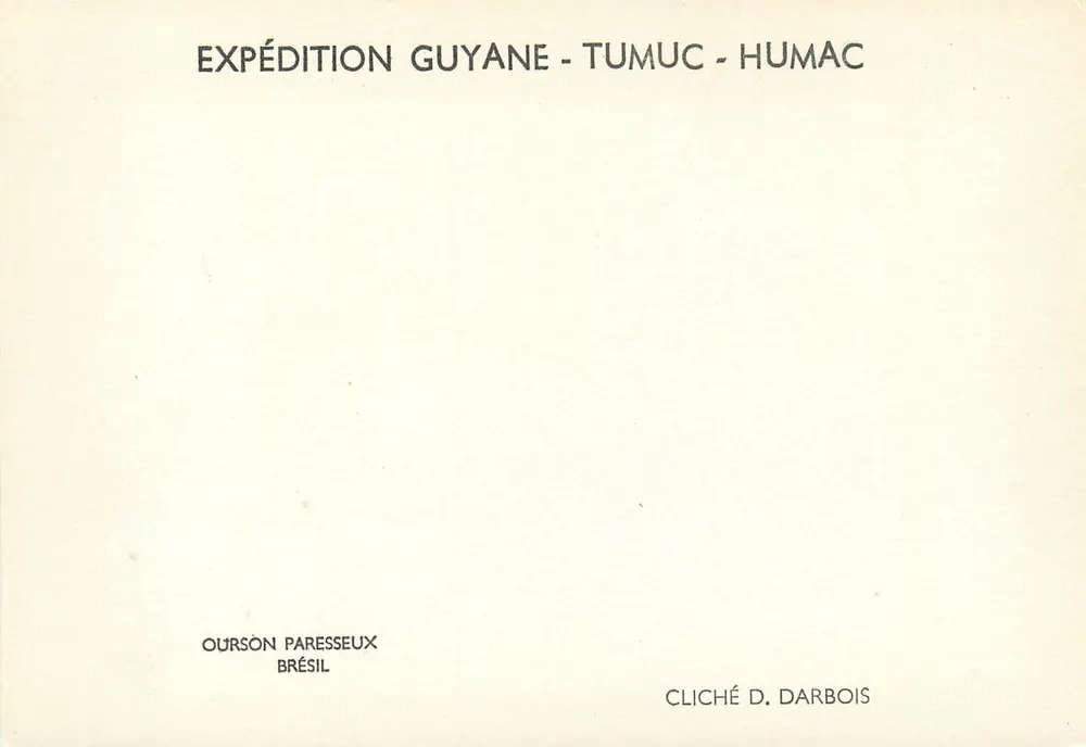 Zwei Schmetterlinge an einem Baumstamm — Expedition Guyane - Tumuc - Humac — Foto D. Darbois - Rückseite