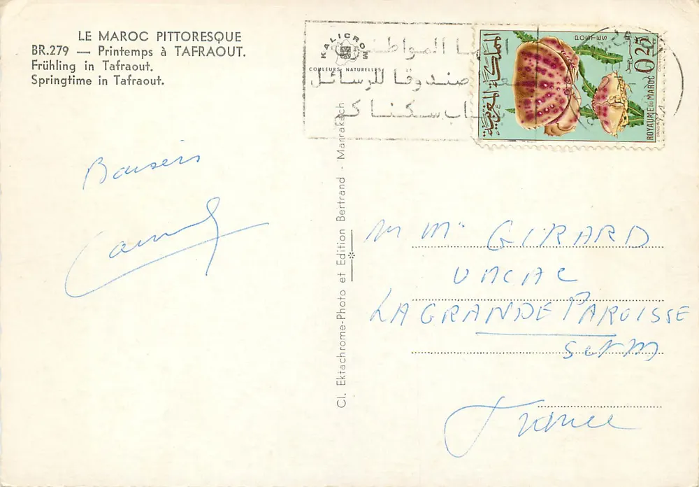 Primavera em Tafraout — O Marrocos pitoresco BR.279 — Edição Bertrand - Verso