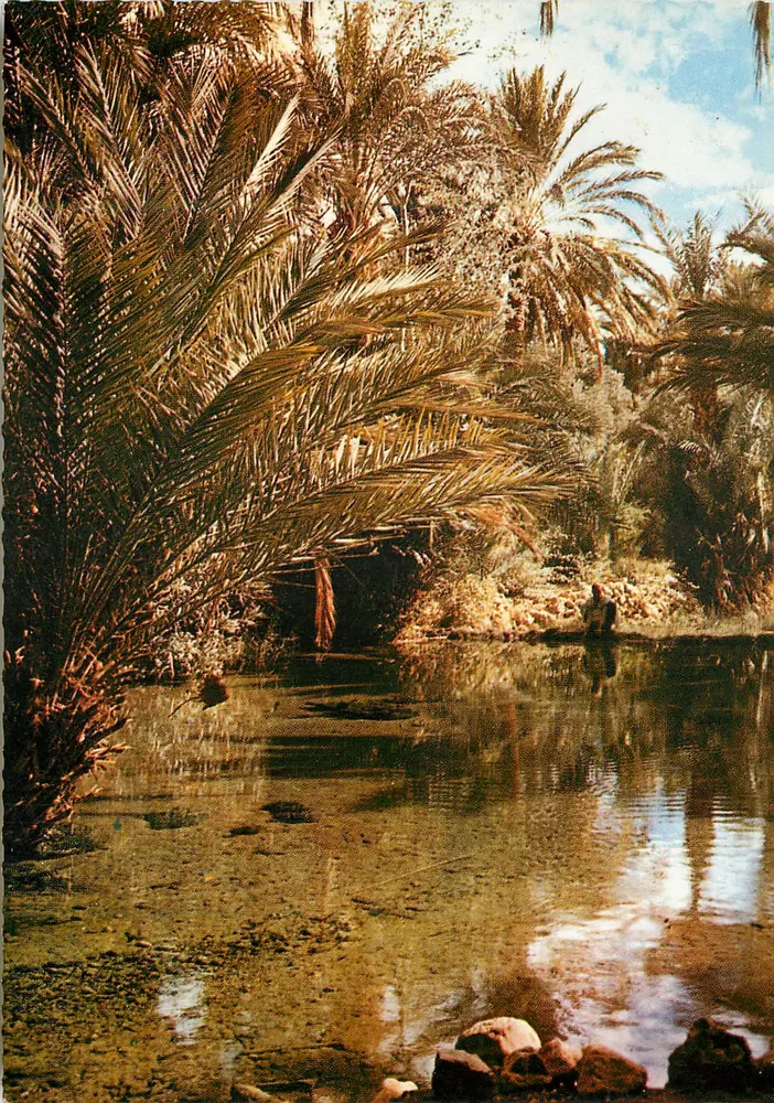 Tinerhir — A fonte dos peixes sagrados — Kalicrom - Frente