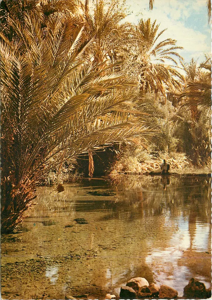 Tinerhir — A fonte dos peixes sagrados — Edição Bertrand - Frente