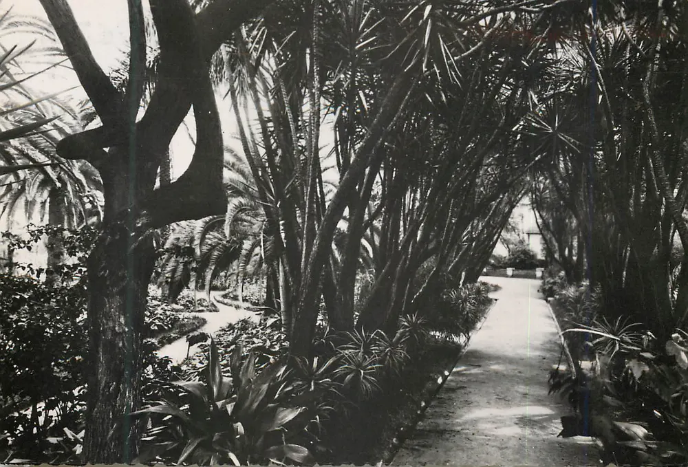Avenida das Tuccas no Jardim — Saint-George - Argel — Édition Franco Interdite n°41 - Frente