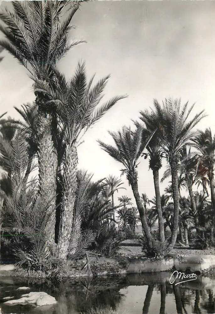 Paisagem do Sul Marroquino — Studios Marti, Casablanca — n°1.369 - Frente