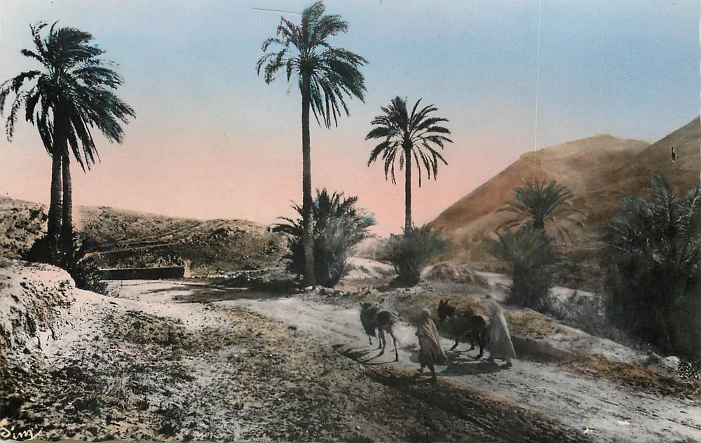 Cenas e Tipos do Marrocos — Na Pista — Foto Combier Macon, n° 574 bis - Frente
