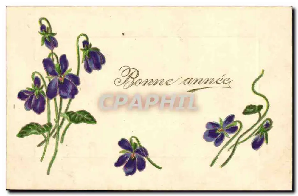 Fioletki — Wesołych świąt — Karta pocztowa francuska - Awers