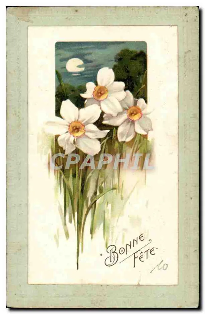 Narcisos — sob a lua — Carta postal impressa P.L.M. - Frente