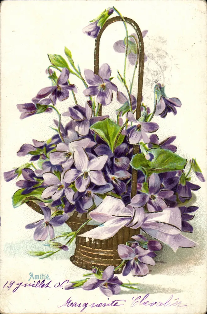 Violetas em um cesto — Amizade — 19 guilhotes S.C. — Marguerite Elevalin - Frente