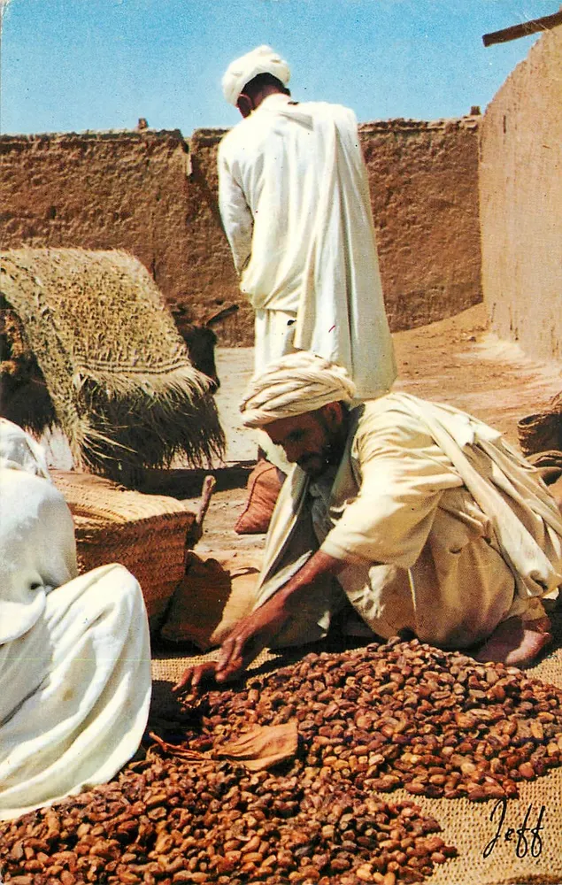 गौलिमीन में खुबानी के बाजार - मोरक्को - एडिशन जेफ - आगे