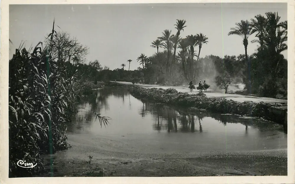 Promenade dans l'oasis — Scènes et Types de l'Afrique du Nord (Maroc) — Combier Imp. Macon - Recto