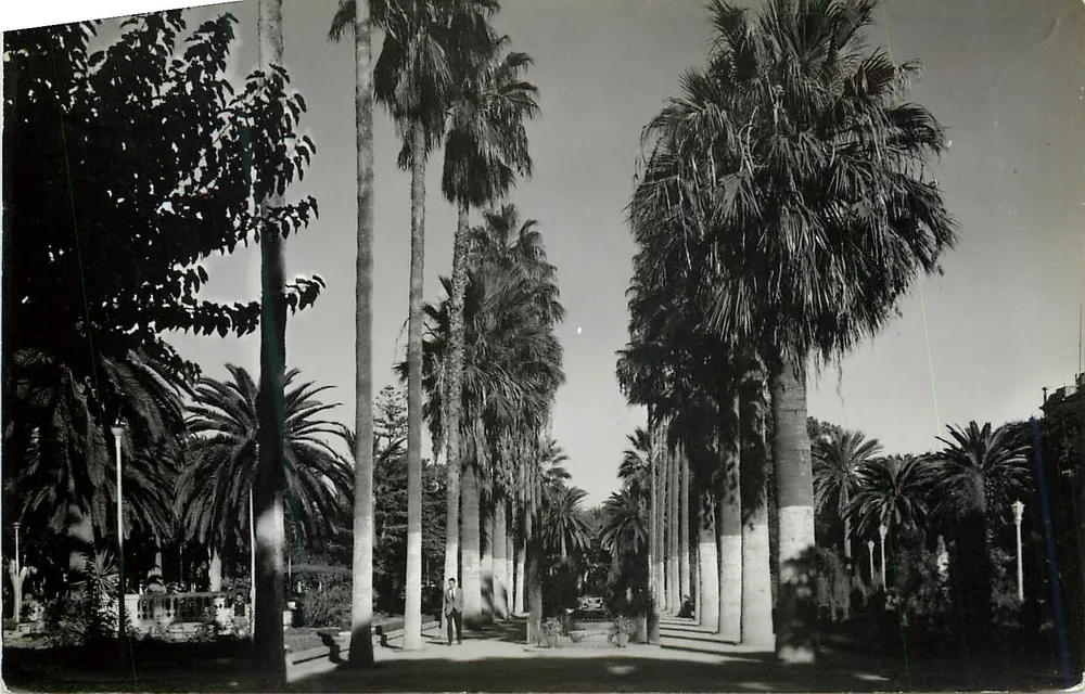 Parque Hernández — Paseo lateral — GEVAERT - Frente