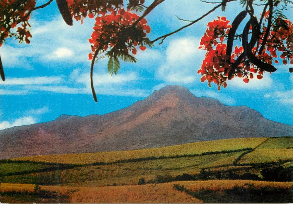 Mount Pelée — Aussicht von Morne aux Bœufs — Éditions Félix ROSE-ROSETTE - Vorderseite