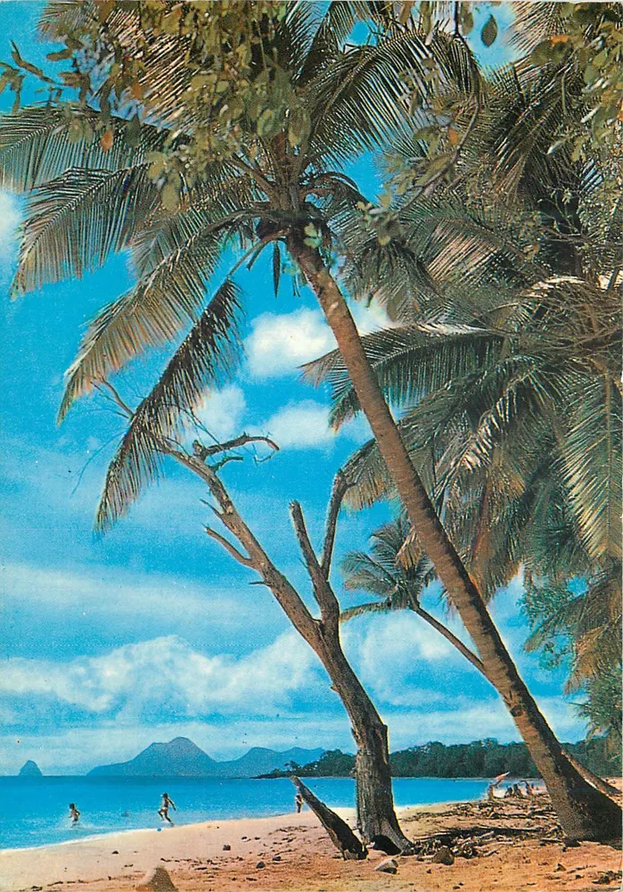 St. Anne: Strände der Salines — Martinique — Éditions ROGE-ROSETTE, Nr. 137 - Vorderseite