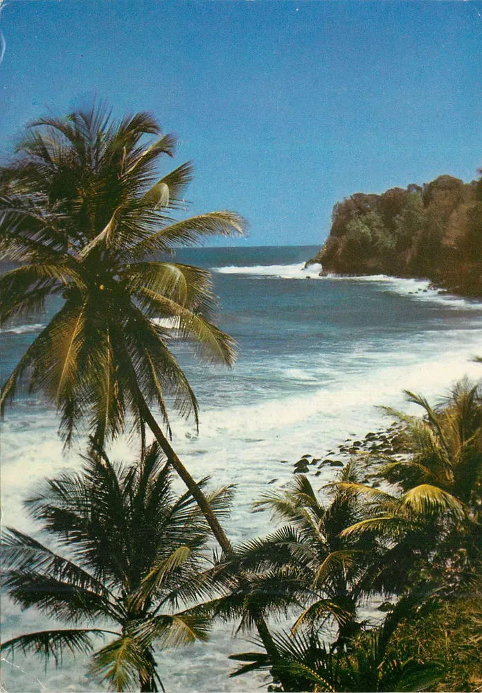 Martinique - Lorrain — Die Atlantische Welle, die den Strand angreift — Éditions Félix Rose-Rosette, n°326 - Vorderseite