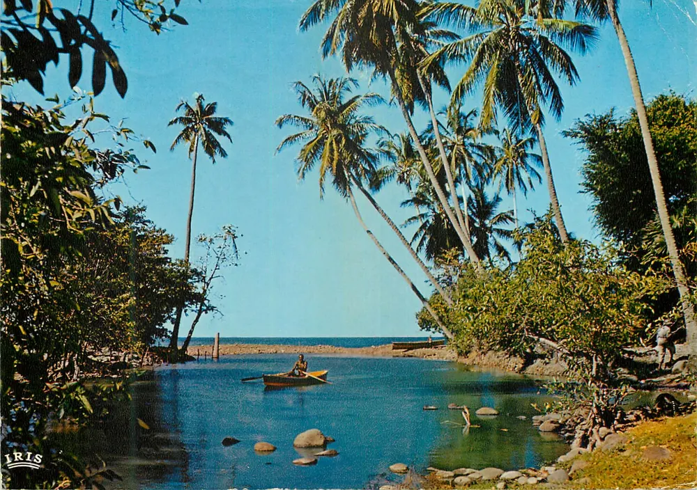 Paesaggio costiero — Martinique — editore IRIS, n° 5284 - Recto